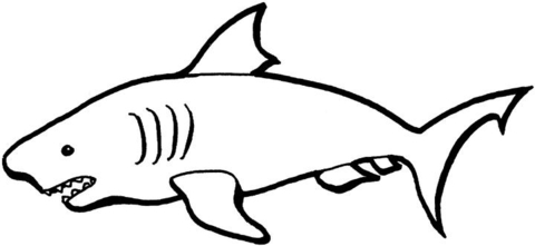 Australian Shark Coloring page
