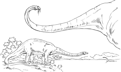 Diplodocus Sauropod Dinosaur Coloring page