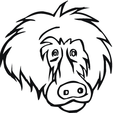 Face Of Baboon  Coloring page