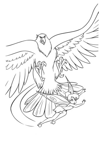 Hawk and fairy Coloring page