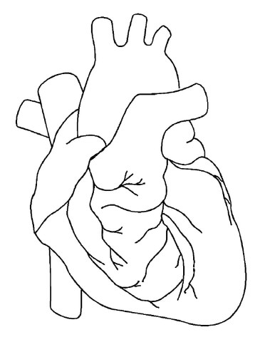 Heart Coloring page