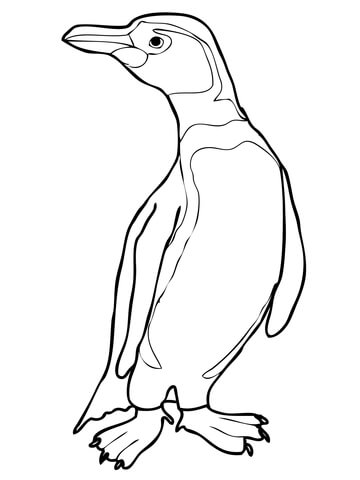 Humboldt Peruvian Penguin Coloring page