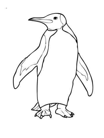 King Penguin Coloring page