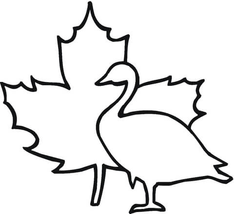 Maple Leaf And Goose  Coloring page