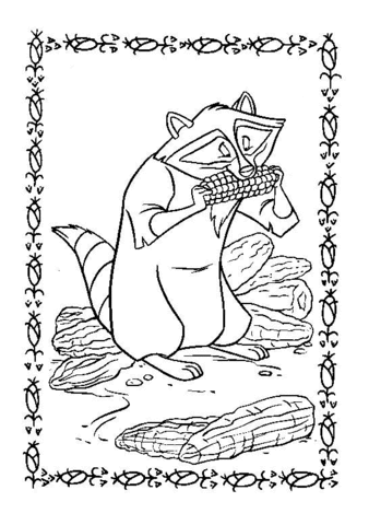 Meeko  Coloring page