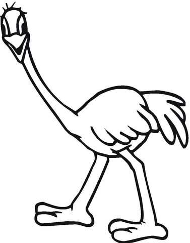 Ostrich Emu  Coloring page