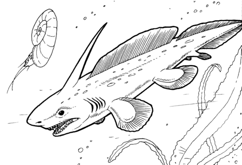 Pleuracanthus - Prehistoric Shark Coloring page