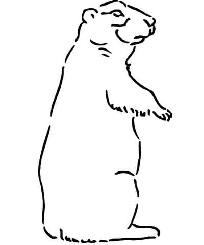 Prairie Dog Coloring page