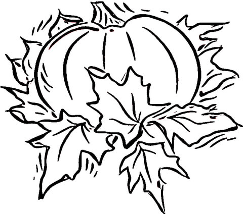 Pumpkin  Coloring page