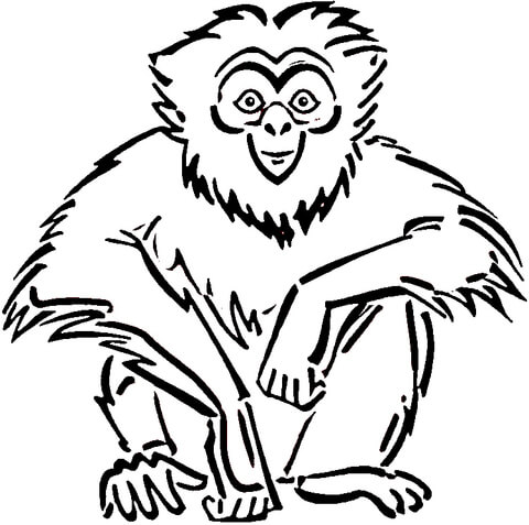 Sitting Gibbon  Coloring page