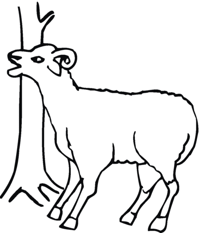 A Sheep Near Tree Coloring page