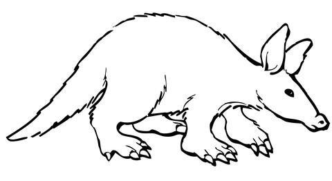 Aardvark Coloring page