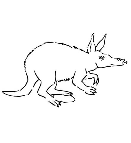 Aardvark from Africa Coloring page