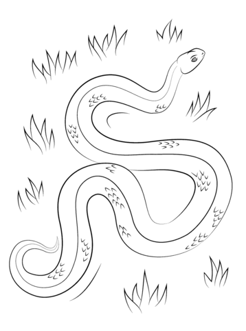 Adder Coloring page