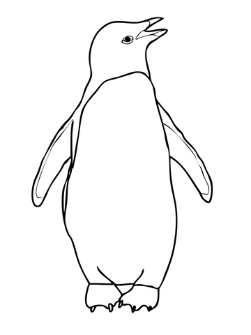 Adelie Penguin Coloring page