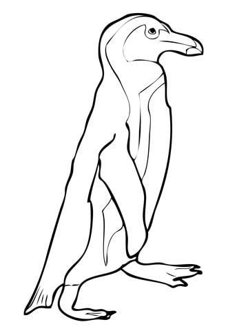 African Black Footed Penguin Coloring page