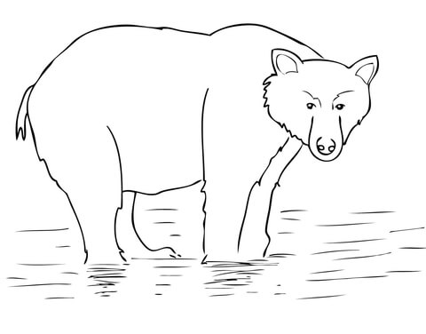 Alaska Brown Bear Coloring page