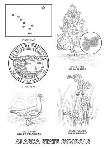 Alaska State Symbols Coloring page