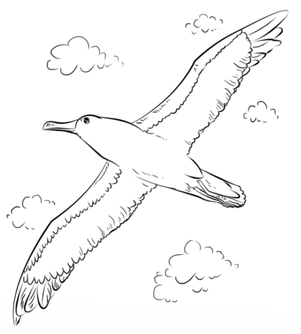 Buller's Albatross in Flight Coloring page