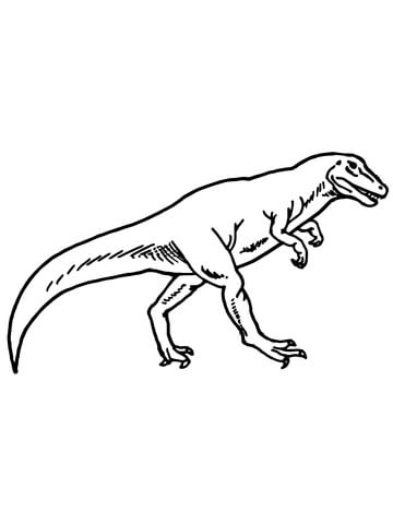 Allosaurus Dino Coloring page