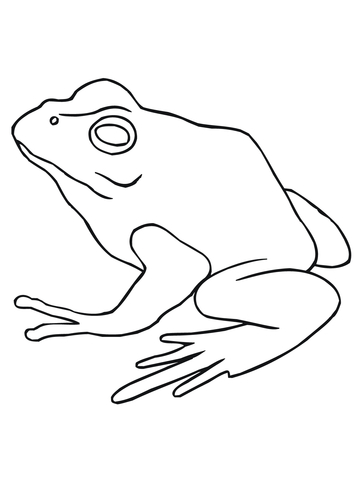 American Bullfrog Coloring page