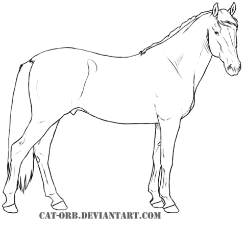 Andalusian horse Coloring page