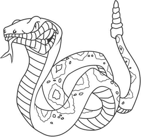 Angry Rattlesnake  Coloring page