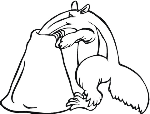 Anteater Is Looking For Food Coloring page