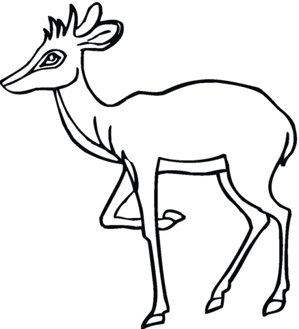 Antelope 19 Coloring page