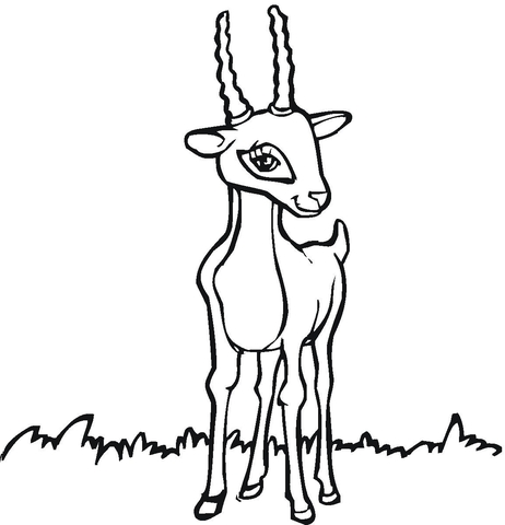 Antelope 6 Coloring page