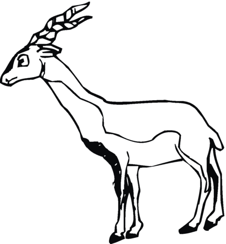 Antelope 9 Coloring page
