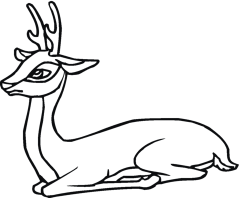 Roe Deer Coloring page