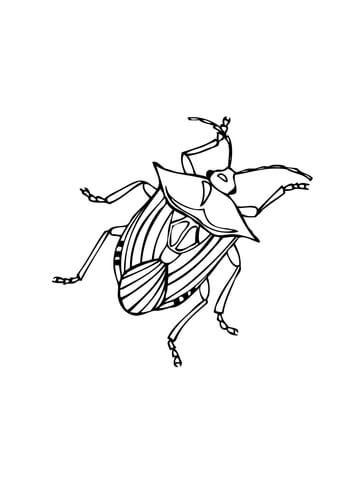 Aphid Insect Coloring page