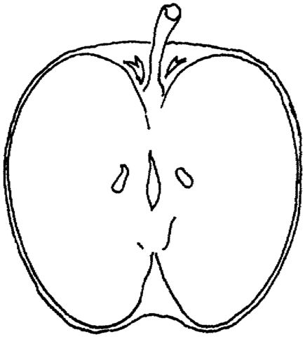 Cut Apple  Coloring page