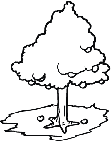 Apples fall from the tree Coloring page