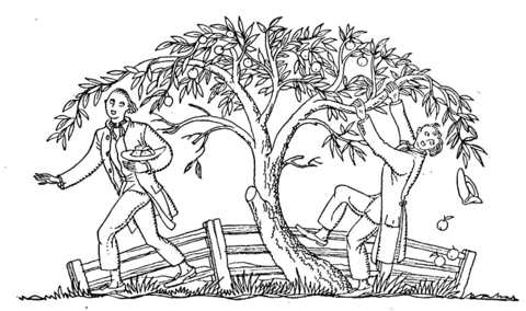 People picks apple from the tree Coloring page
