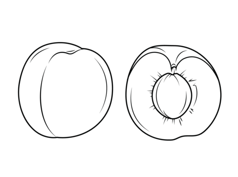 Whole apricot and apricot sliced in half Coloring page