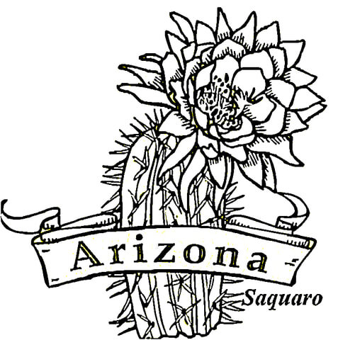 Arizona  Coloring page
