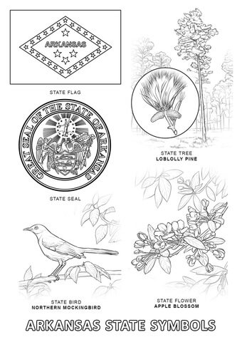 Arkansas State Symbols Coloring page