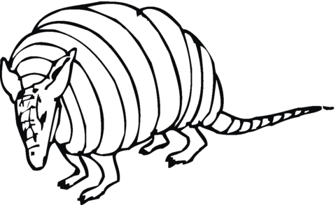 Armadilo 2 Coloring page