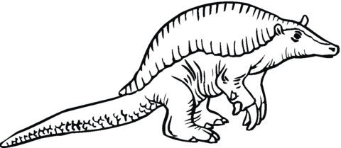 Giant armadillo Coloring page
