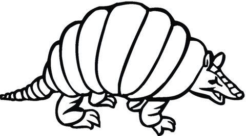 Armadilo 8 Coloring page