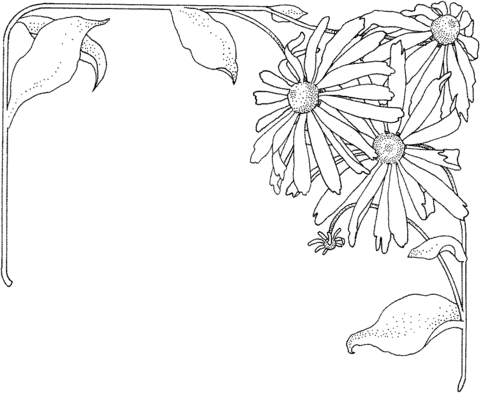 Aster 1 Coloring page