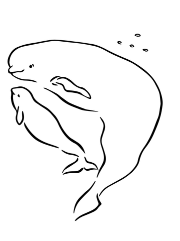 Baby Beluga with Mother Coloring page