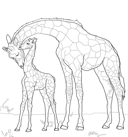 Baby Giraffe and Mother Coloring page