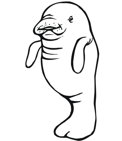 Baby Manatee Coloring page