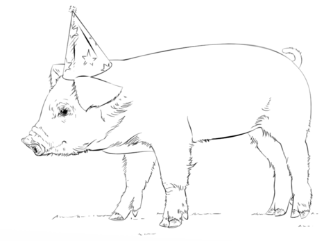Baby Pig Coloring page