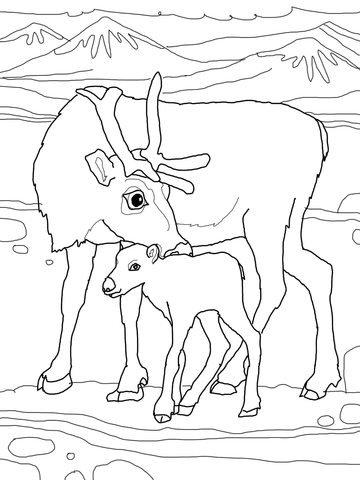 Baby Reindeer with Mother Coloring page