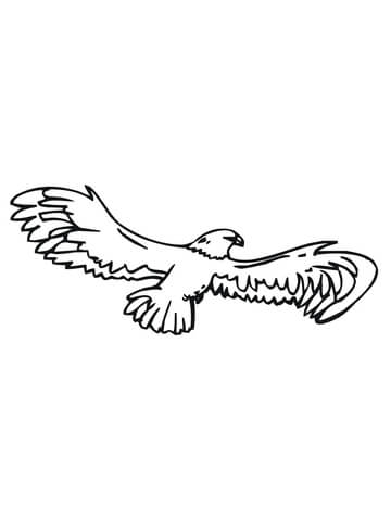 Bald Eagle with Wings Spread Coloring page