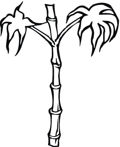 Bamboo  Coloring page